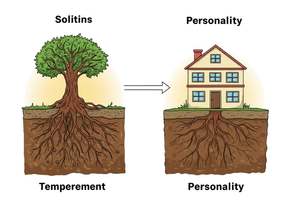 Illustration comparing a house's foundation to a finished house.